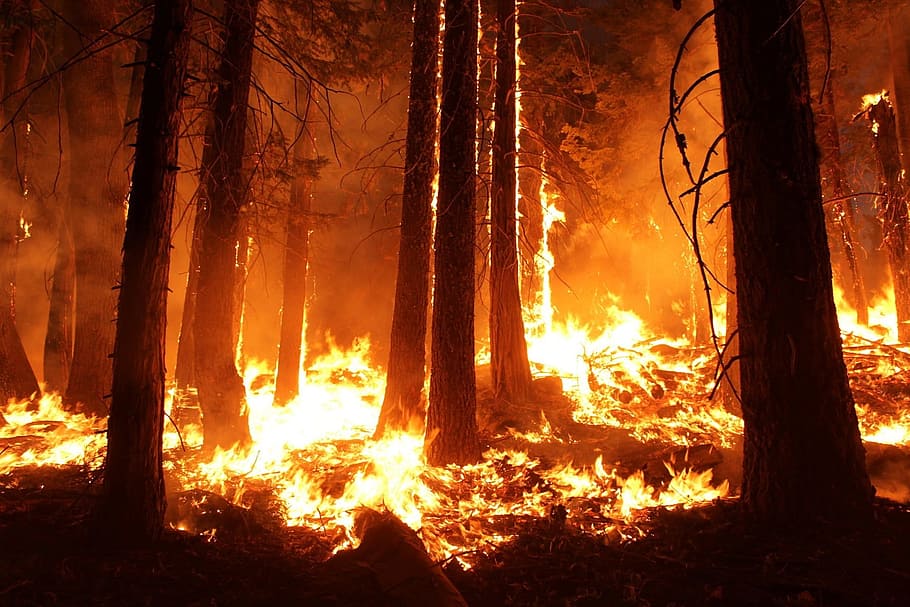 Tecnología en la lucha contra los incendios forestales: Un futuro prometedor